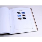 Supplement year: 2020 - Falkland Dependencies (South Georgia & Sandwich Islands) - type: DeLuxe - sheets for Basic album, N°: 80-82 (3 pcs.) - Davo (2 Holes)
