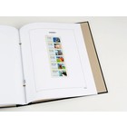 Supplément année: 2016 - Guernsey (Post & Go) - type: DeLuxe - feuille pour Album de base, N°: PG2- (1 pc.) - Davo (2 Trous)