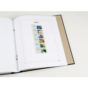 Supplement year: 2016 - Guernsey (Post & Go) - type: DeLuxe - Zwart, N°: PG2- (1 pc.) - Davo (2 Holes)