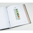 Supplement jaar: 2018 - Guernsey (Post & Go) - type: DeLuxe - blad voor Basisalbum, N°: PG4- (1 st.) - Davo (2 Gats)