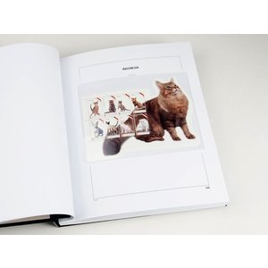 Supplement year: 2016 - Indonesia - type: DeLuxe - sheets for Basic album, N°: 343-352 (10 pcs.) - Davo (2 Holes)