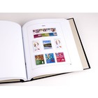 Supplement jaar: 2019 - Israël - type: DeLuxe - bladen voor Basisalbum, N°: 256-260, B72-74, C27 (9 st.) - Davo (2 Gats)