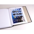 Supplement jaar: 2019 - Israël - type: DeLuxe - bladen voor Velletjes, N°: 256a-b, 257a, 258a, 259a-c, 260a, 2019-Labels 1-7, PS 1-7 (22 st.) - Davo (2 Gats)