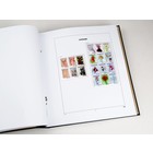 Nachtrag Jahr: 2017 - Surinam - Typ: DeLuxe - Blätter für Basisalbum, N°: 136-139, B68-71 (8 Stk.) - Davo (2 Löcher)