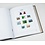 Supplement year: 2018 - Switzerland - type: DeLuxe - sheets for Basic album, N°: 194-198, B45 (6 pcs.) - Davo (2 Holes)