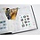 Supplement year: 2008 - Netherlands - type: DeLuxe - sheets for Illustrated Collecting Mini-sheets, N°: 2008/5.1-2008/5.5 (5 pcs.) - Davo (2 Holes)