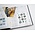 Supplement year: 2010 - Netherlands - sheets for Illustrated Collecting Mini-sheets, nr's: 2010/5.1-2010/5.5 (5 pcs.) - Davo, DeLuxe preprint sheets