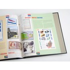 Supplement year: 2011 - Netherlands - sheets for Borderless Netherlands, nr: Nederland & Zuid Afrika (2 pcs.) - Davo, DeLuxe preprint sheets