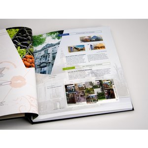 Supplement year: 2012 - Netherlands - sheets for Illustrated Collecting, nr's: 2012/6.1-2012/6.6 (7 pcs.) - Davo, DeLuxe preprint sheets