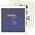 Supplement year: 2019 - Belarus - Sheets for basic album, nr's: 173 t/m 184 (12 pcs.) - Lindner,  preprint sheets (champagne colored)
