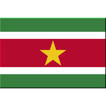 SURINAME - Albums with/without sheets, Supplements, Individual sheets, etc.