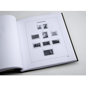 Supplement jaar: 2011 - België - type: DeLuxe - bladen voor Basisalbum, N°: 282-284, B142-150, C26, C27 (15 st.) - Davo (2 Gats)