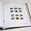 Supplement year: 1995 - Alderney - type: DeLuxe - sheets for Basic album, N°: 12-B1 (2 pcs.) - Davo (2 Holes)