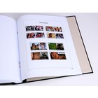Supplement year: 2021 - Great-Britain - type: DeLuxe - sheets for Basic album, N°: 300-310, B92-97 (17 pcs.) - Davo (2 Holes)
