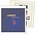 Supplement year: 2021 - Lithuania - Sheets for basic album, nr's: 98 t/m 100 (3 pcs.) - Lindner,  preprint sheets (champagne colored)