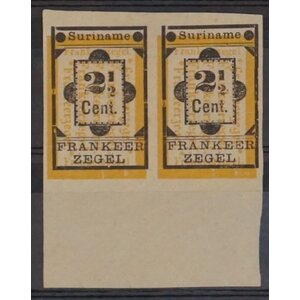 NVPH -    22v, Timbre (Suriname), Émis de l'année:  1892, Neuf avec Charnière (MH) - Avec bordure - Paire