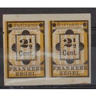 NVPH -    22v, Briefmarke (Surinam), Ausgegeben im Jahr:  1892, Ungebraucht (MH) - Paar