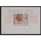 NVPH -  2243, Block (Niederlande), Ausgegeben im Jahr:  2004, Gestempelt (U)