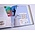 Supplement year: 2022 - Netherlands - type: DeLuxe - sheets for Illustrated Collecting Mini-sheets, N°: 2022/2.1-2022/2.2 (2 pcs.) - Davo (2 Holes)