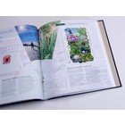 Supplement year: 2022 - Netherlands - type: DeLuxe - sheets for Illustrated Collecting, N°: 2022/7.1-2022/7.7 (8 pcs.) - Davo (2 Holes)