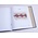 Supplement year: 2022 - Netherlands - type: DeLuxe - sheets for Miniature Sheets (3), N°: V177-V180 (4 pcs.) - Davo (2 Holes)