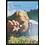 Pays-Bas N.V.P.H. Collection annuelle  -**-, Jaar 2000
