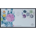 NVPH - , First Day Cover (Netherlands), Issued in the year:  2011, Blank (UA) - Open flap (OF)