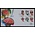 NVPH - E  576, Couverture Premier Jour (Pays-Bas), Émis de l'année:  2008, Vierge (UA) - Lot de 2 pièces - Rabat ouvert (OF)