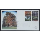 NVPH - , First Day Cover (Netherlands), Issued in the year:  1999, Blank (UA) - Open flap (OF)