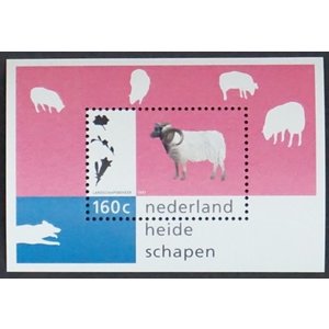 NVPH -  1671, Block (Netherlands), Issued in the year:  1996, Mint Not Hinghed (MNH)