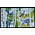 Pays-Bas NVPH. B2282  -o-