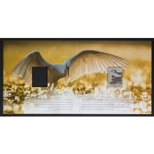 Nederland -   De Zilverreiger  -**-