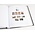 Supplement year: 2022 - Gibraltar - type: DeLuxe - sheets for Basic album, N°: 169-172,B94-96 (7 pcs.) - Davo (2 Holes)