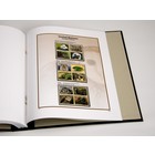 Nachtrag Jahr: 2022 - U.N.O. Gefährdete Arten - Typ: DeLuxe - Blatt für Basisalbum, N°: 2022 1- (1 Stk.) - Davo (2 Löcher)