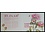 Pay-Bas  Passie voor bloemen  -**-