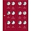 Premium, Album (4 rings) voor 10 Euromunten - incl. 7 bladen en rode voordrukbladen - Zwart - afm: 235 x 265 x 45 mm.