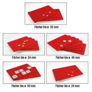 Tableau, Modèle G - Compartiment dim: 41 x 41 mm. (24 pcs.) Rouge - dim: 330 x 220 x 10 mm.