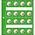 Safe, Designo, Sheets (4 rings)  for 2 Euro coins - Green preprint sheets - 195x220 mm. ■ per 5 pcs.