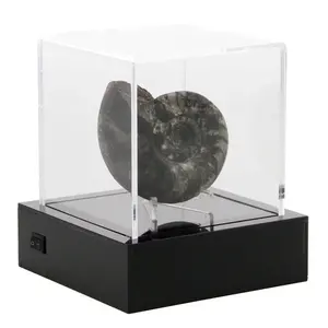Safe Presentation Cube, 100 mm. with LED lighting