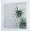 Acryl, Vitrine, model A - Achterwand - Spiegel - afm: 490 x 490 mm.