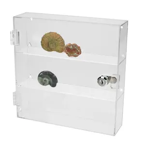 Acryl, Vitrine met afsluitbare draaideur - model D - afm: 240 x 60 x 240 mm.