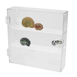 Safe Acrylic display case, lockable, maxi