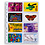 Feuilles de pochettes, Entièrement transparent - 4 pochettes horizontale, Optima - type 4.VC - 4 Anneaux - Dim. Du pochette: 88x55 mm.