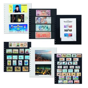 Insert sheets, Black 2-sided use - 8 compartments horizontal, R - type 8.S - 13 Rings - Pocket dim: 248x31 mm.