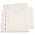 Blanc sheets, with borderline and country print  - Deutschland - Sheet color: Champagne and Black print - LEUCHTTURM (13 Rings) - dim: 270x297 mm. ■ per 12 pc.