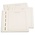 Blanc sheets, with borderline and country print  - Deutscland Bundesrepublik - Sheet color: Champagne and Black print - LEUCHTTURM (13 Rings) - dim: 270x297 mm. ■ per 12 pc.