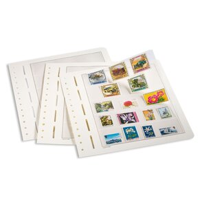 Insert sheets, Champagne - 2 compartments horizontal, LB - type LB.2 - 13 Rings - Pocket dim: 190x124 mm.