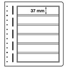 Insert sheets, Champagne - 6 compartments horizontal - LEUCHTTURM, LB - type LB.6 - 13 Rings - Pocket dim: 190x37 mm. ■ per 10 piecess.
