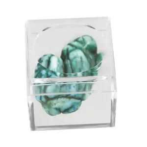 Acryl, PräsentationsBox , Mini, mit eingebauter Lupe - Abm: 30 x 30 x 25 mm.