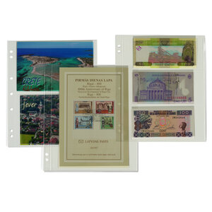 Folio A4+, Blätter (4 Ringe) 2er Einteilung (260 x 176 mm.) Transparent - Abm: 290 x 365 mm.